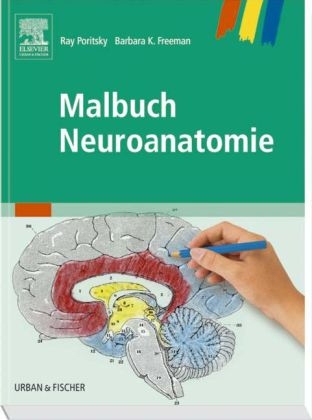 Malbuch Neuroanatomie - 