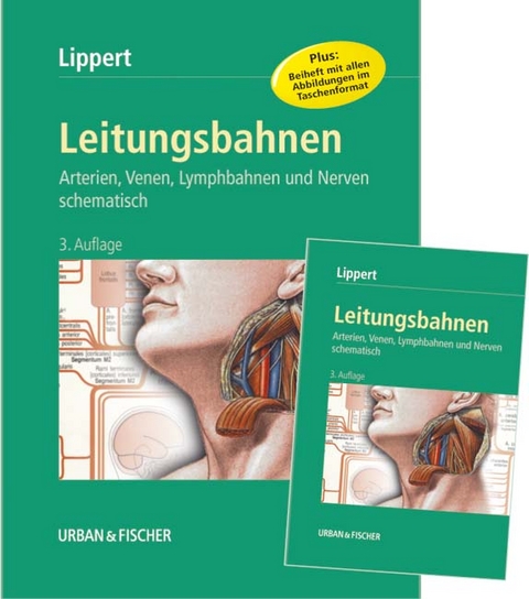 Leitungsbahnen - Herbert Lippert