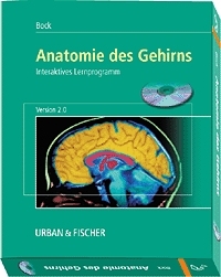 Anatomie des Gehirns - R Bock
