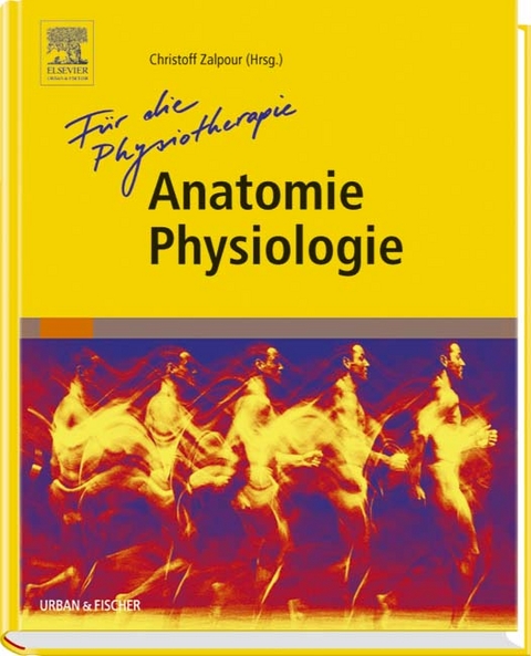 F&uuml;r die Physiotherapie: Anatomie Physiologie - 
