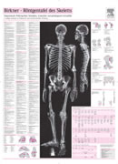 Birkner R&ouml;ntgentafel des Skeletts - Gerhard Schindler