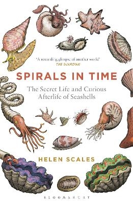 Spirals in Time