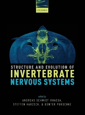 Structure and Evolution of Invertebrate Nervous Systems - Andreas Schmidt-Rhaesa, Steffen Harzsch, G&uuml;nter Purschke