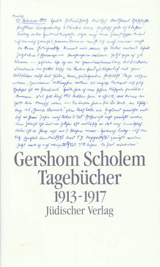 Tagebücher nebst Aufsätzen und Entwürfen bis 1923