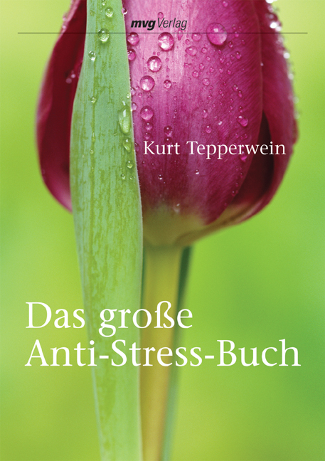 Das gro&szlig;e Anti-Stress-Buch - Kurt Tepperwein