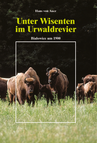 Unter Wisenten im Urwaldrevier