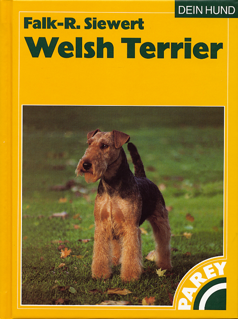 Welsh Terrier - Falk R Siewert