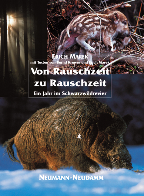 Von Rauschzeit zu Rauschzeit - 