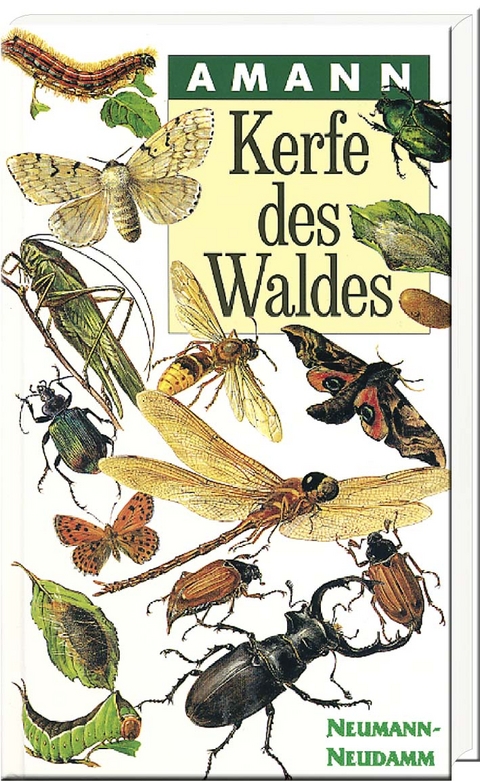 Kerfe des Waldes - Gottfried Amann