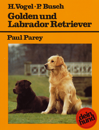 Golden und Labrador Retriever