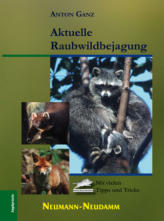 Aktuelle Raubwildbejagung