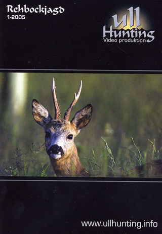 Rehbockjagd