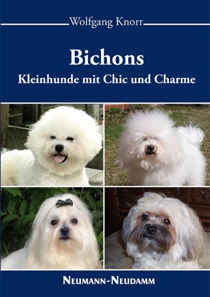 Bichons - Wolfgang Knorr