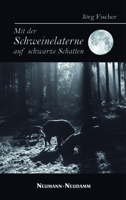 Mit der Schweinelaterne auf schwarze Schatten - J&ouml;rg Fischer