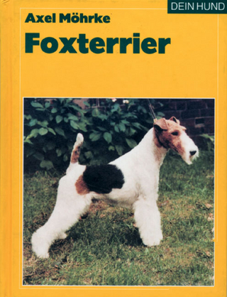 Foxterrier