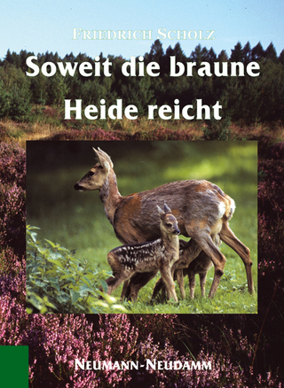 So weit die braune Heide reicht
