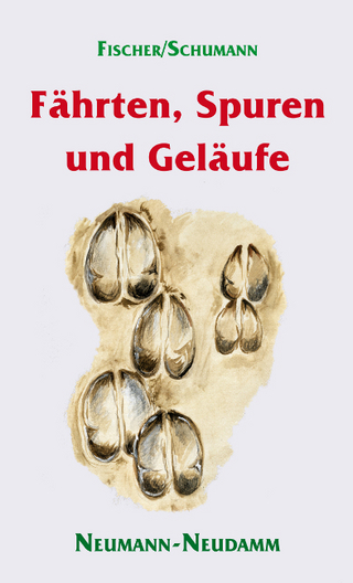 Fährten, Spuren und Geläufe