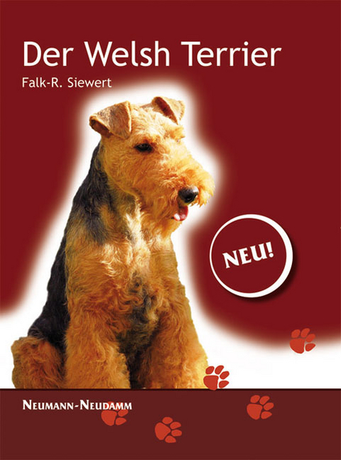 Welsh Terrier - Falk R Siewert