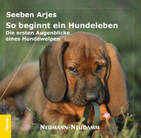 So beginnt ein Hundeleben - Seeben Arjes