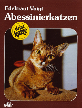 Abessinierkatzen