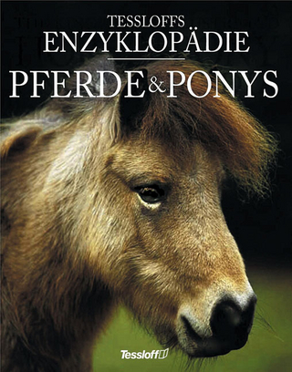 Pferde & Ponys