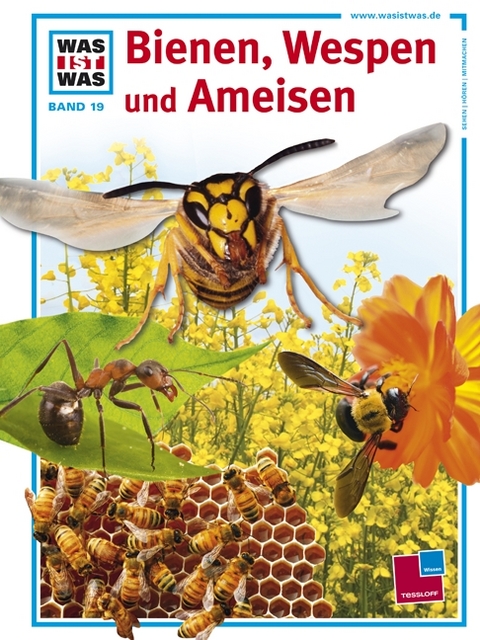 Was ist was, Band 019: Bienen, Wespen und Ameisen - Sabine Steghaus-Kovac