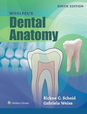 Woelfels Dental Anatomy - Rickne C. Scheid