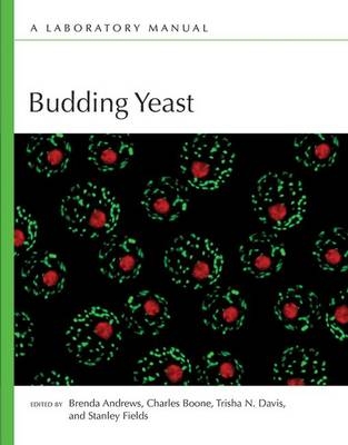 Budding Yeast - 