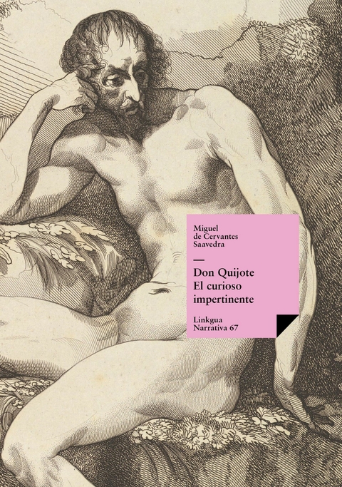 Don Quijote. El curioso impertinente - Miguel De Cervantes