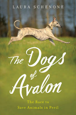 The Dogs of Avalon - Laura Schenone