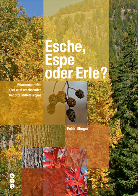 Esche, Espe oder Erle? - Peter Steiger
