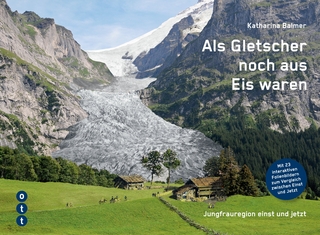 Als Gletscher noch aus Eis waren