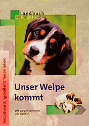 Unser Welpe kommt