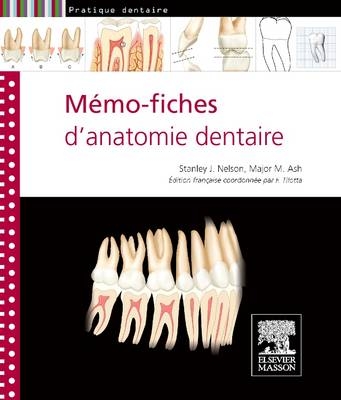 M&eacute;mo-fiches d'anatomie dentaire - Stanley J. Nelson, Major M. Ash, Fran&ccedil;oise Tilotta