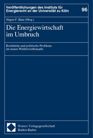 Die Energiewirtschaft im Umbruch