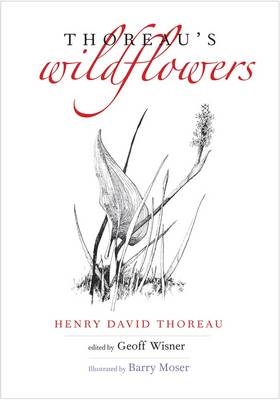 Thoreau's Wildflowers - Henry David Thoreau