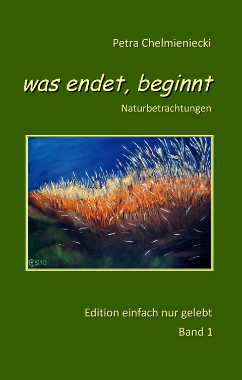 was endet, beginnt - Petra Chelmieniecki