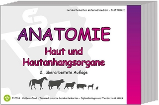 Anatomie: Haut und Hautanhangsorgane