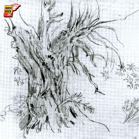 Die Judenbuche - Annette von Droste-H&uuml;lshoff