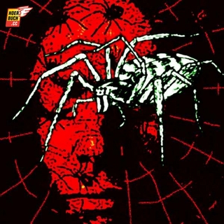 Es ist angerichtet: Erster Gang