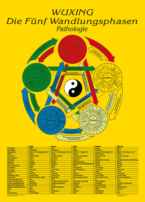 Lehrtafel: Wuxing - Die fünf Wandlungsphasen: Pathologie - Florian Ploberger