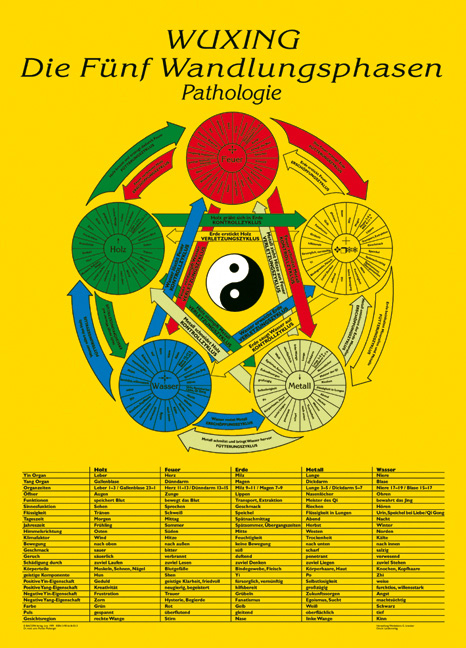 Die F&uuml;nf Wandlungsphasen: Pathologie - Florian Ploberger