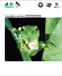 Amphibien und ihre Lebensr&auml;ume, 1 CD-ROM - J&uuml;rg Fraefel
