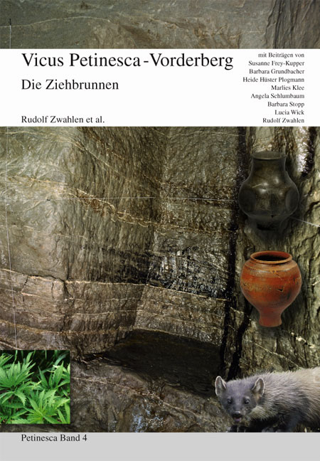 Ziehbrunnen Petinesca - Rudolf Zwahlen