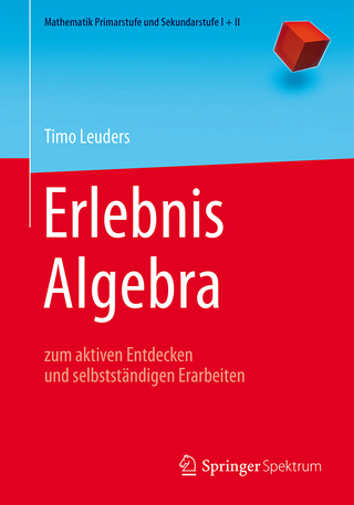 Erlebnis Algebra