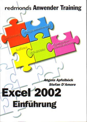 Excel 2002 Einführung - Angela Apfelböck, Stefan D' Amore