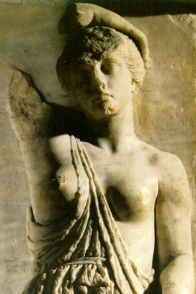 Auf den Spuren der Amazonen - Gerhard P&ouml;llauer