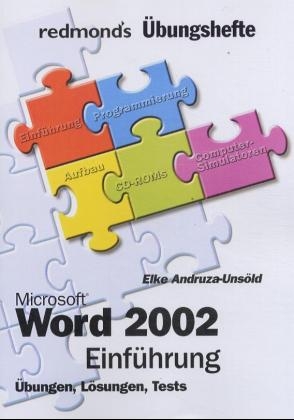 Microsoft Word 2002, Einführung