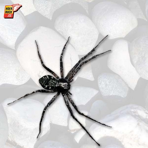 Die schwarze Spinne - Jeremias Gotthelf