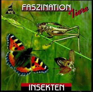 Faszination Insekten